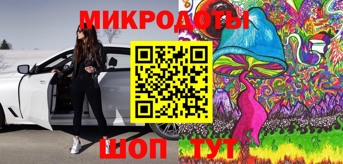 Галлюциногенные грибы Psilocybe Троицк